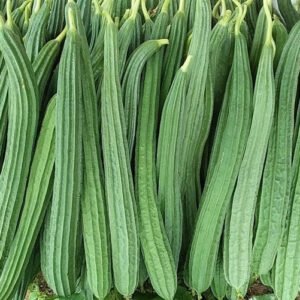 Ridge Gourd 250g