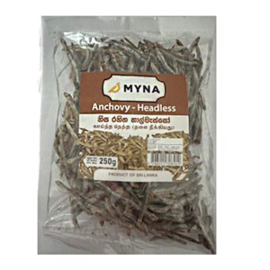 Anchovy - Headless