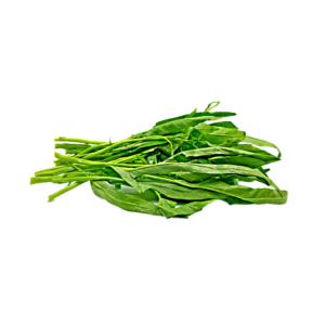 Kangkung Morning glory
